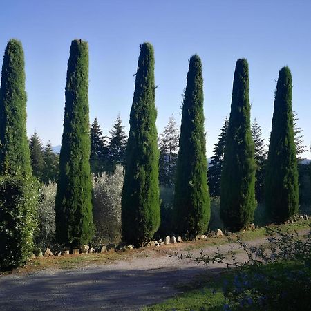 Casa Marconi Villa Vetriano Bagian luar foto