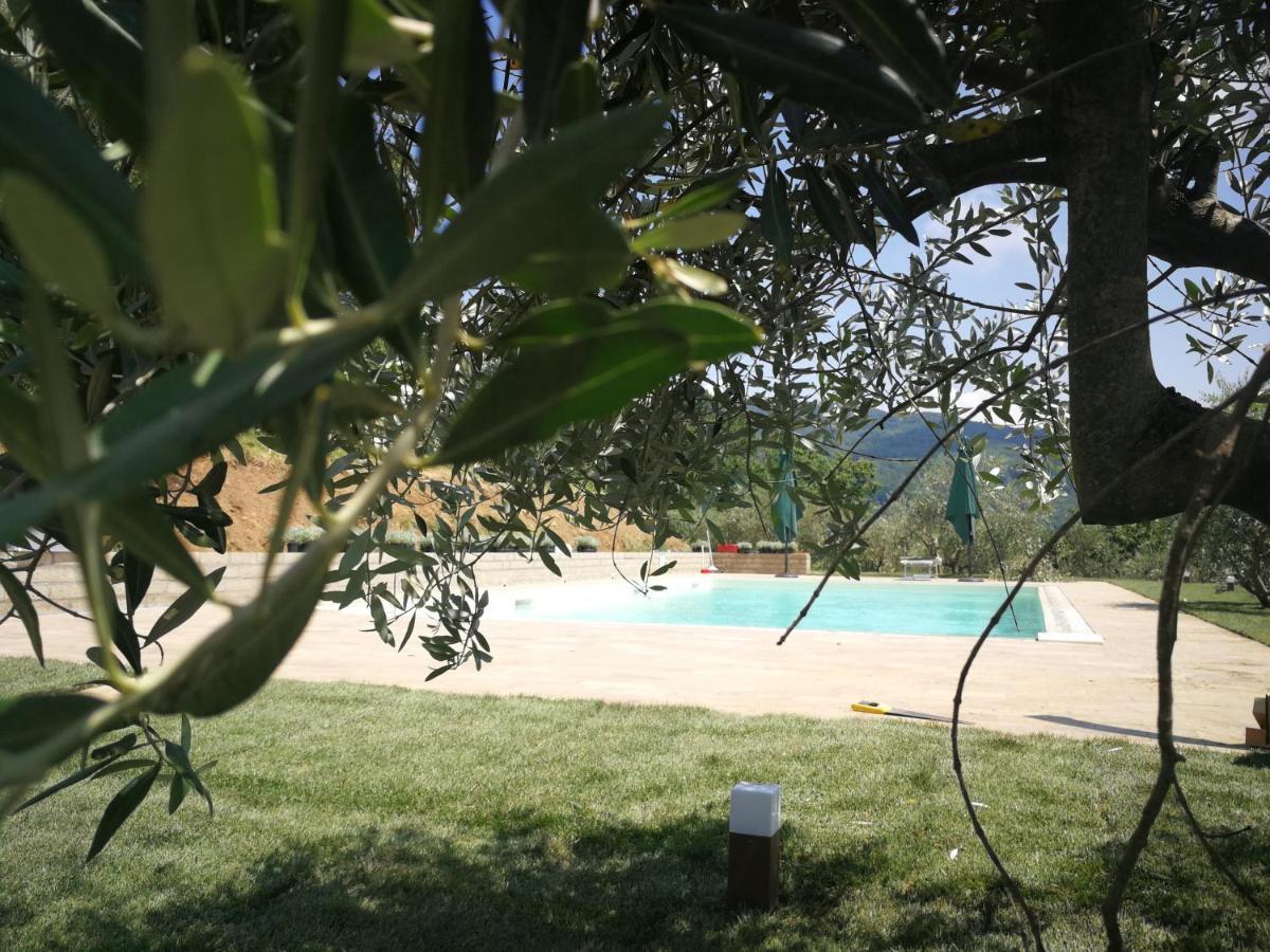 Casa Marconi Villa Vetriano Bagian luar foto