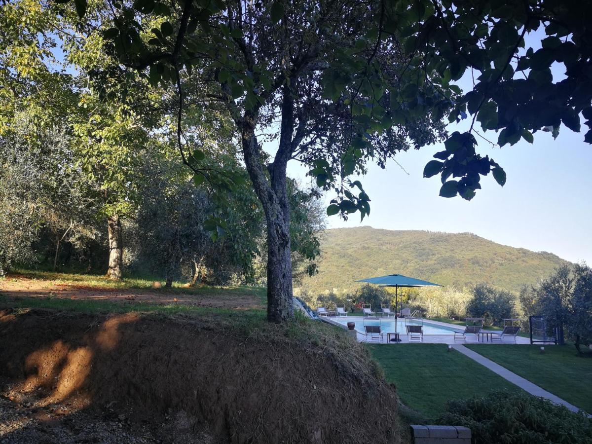 Casa Marconi Villa Vetriano Bagian luar foto