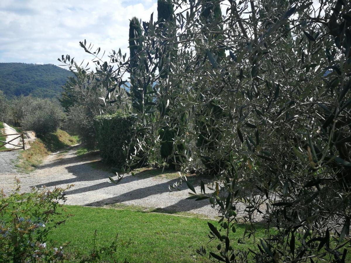 Casa Marconi Villa Vetriano Bagian luar foto