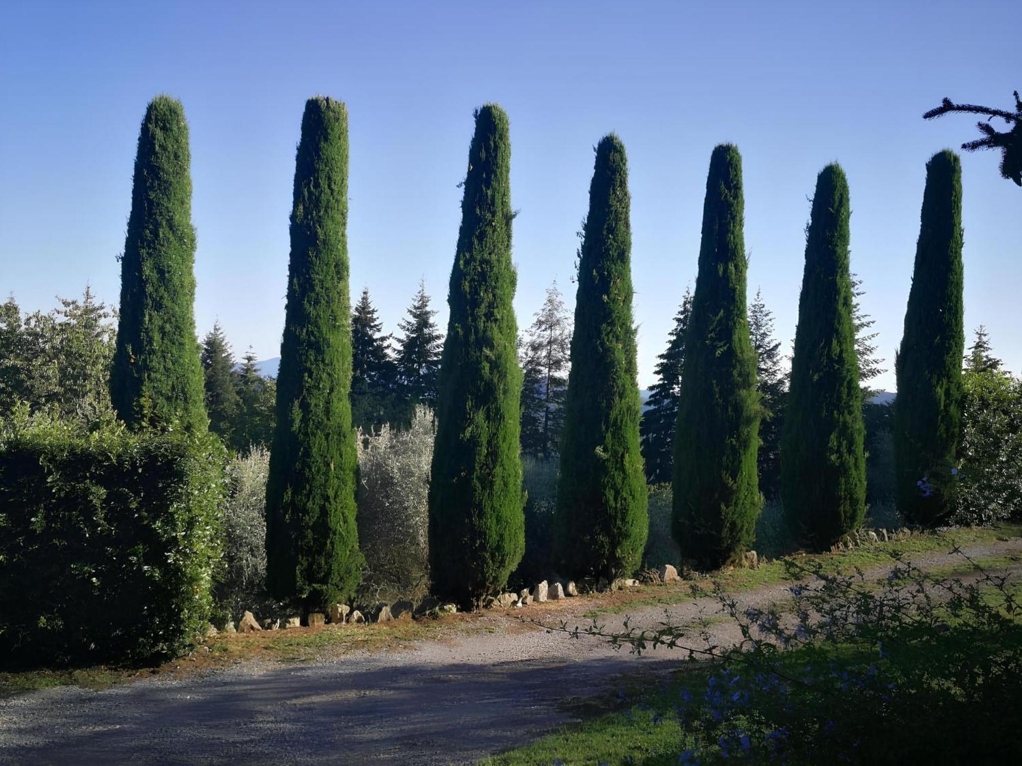 Casa Marconi Villa Vetriano Bagian luar foto